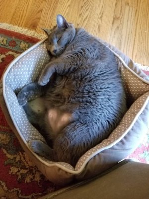 20180812_100845.jpg