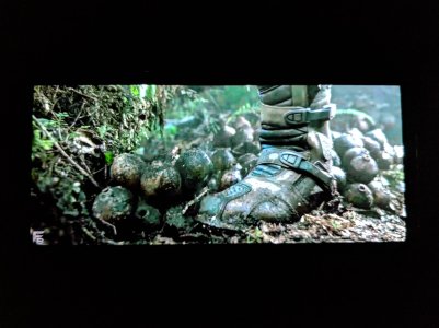 IMG_20180504_161021[1].jpg