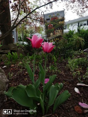 IMG_20180504_175940.jpg