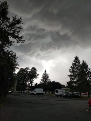 IMG_20180727_131009.jpg