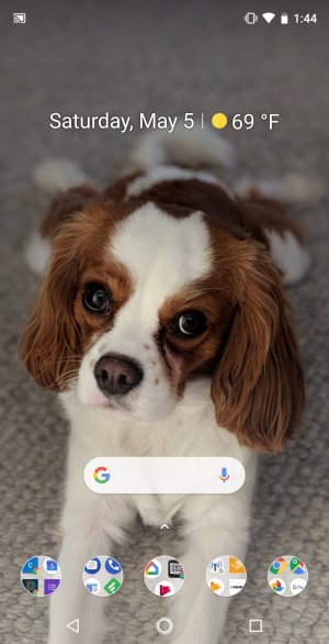 homescreen.jpg