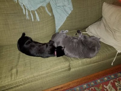 20180814_020051.jpg