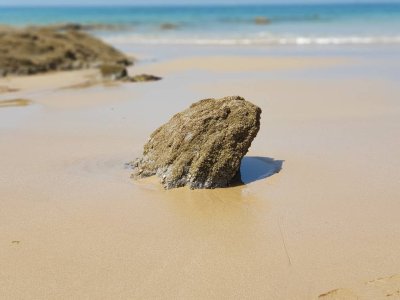 20180506_135209.jpg