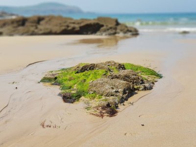 20180506_134956.jpg