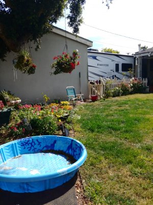 20180506_154153.jpg
