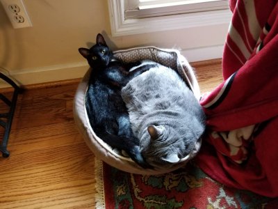 20180709_141141.jpg