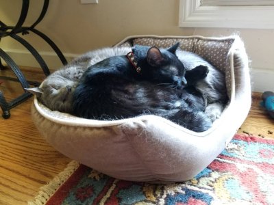 20180708_144414.jpg