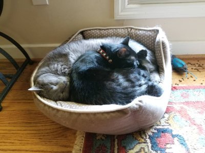 20180708_144407.jpg