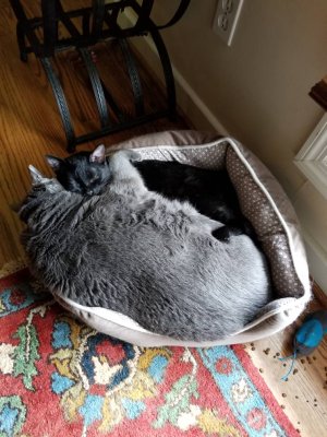 20180708_124535.jpg