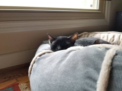 20180708_140306.jpg