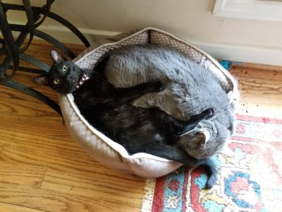 20180711_094603.jpg