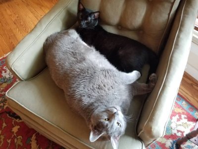 20180815_180956.jpg