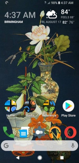 Screenshot_20180817-043722_Nova%20Launcher.jpg