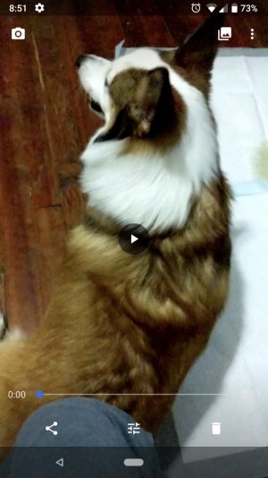 Screenshot_20180509-205124.jpg