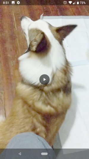 Screenshot_20180509-205137.jpg