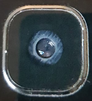 20180713_075241.jpg