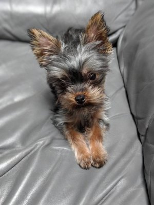 1904390156.jpg