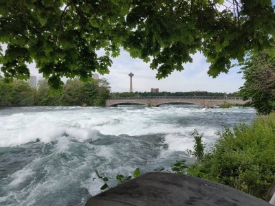 IMG_20180610_093510.jpg