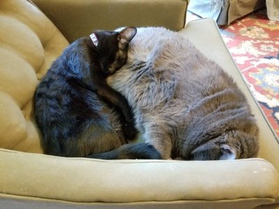 20180712_143824.jpg