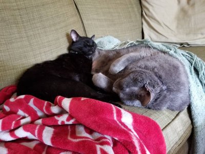 20180715_124928.jpg