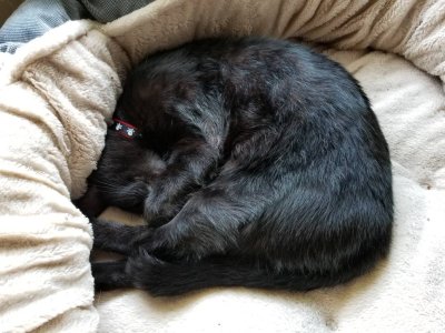 20180715_140222.jpg