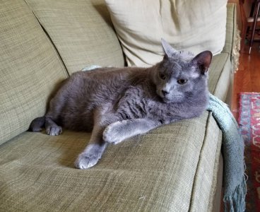 20180715_140356.jpg