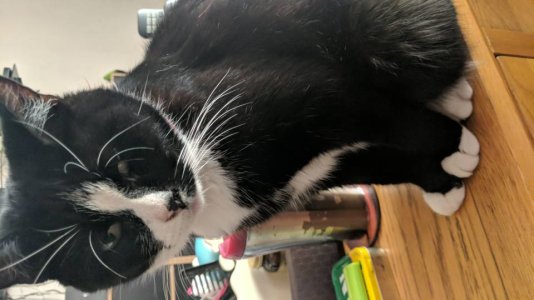 IMG-20180818-WA0000.jpeg