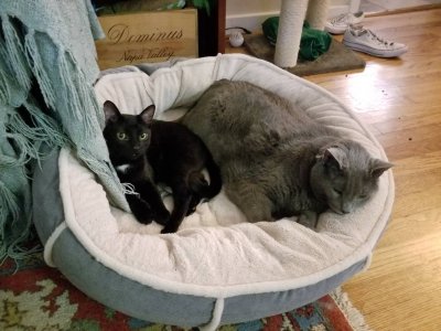 20180513_083359.jpg