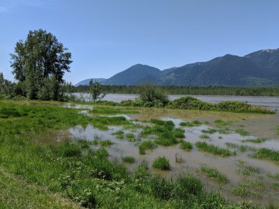 IMG_20180513_134357.jpg