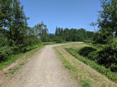 IMG_20180513_135118.jpg