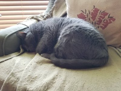 20180819_155629.jpg