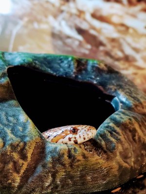 20180513_142153~2.jpg