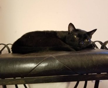 20180917_173545.jpg