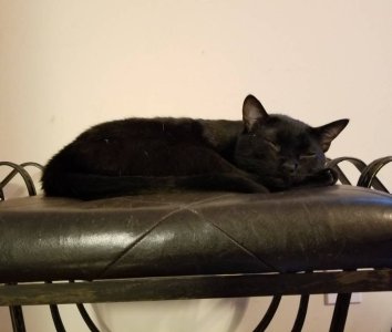 20180917_173643.jpg
