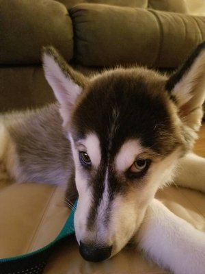 20180820_212716.jpg