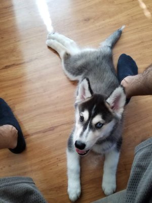 20180812_095232.jpg
