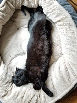 20180719_134504.jpg