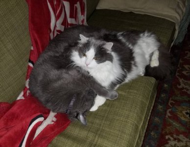 20180720_145256.jpg