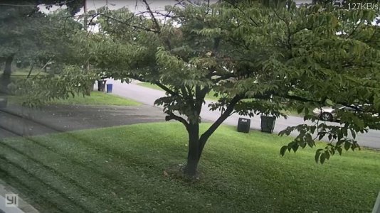 Front Yard.JPG