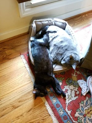 20180723_145459.jpg