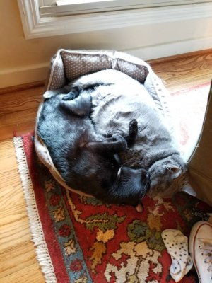 20180723_145531.jpg