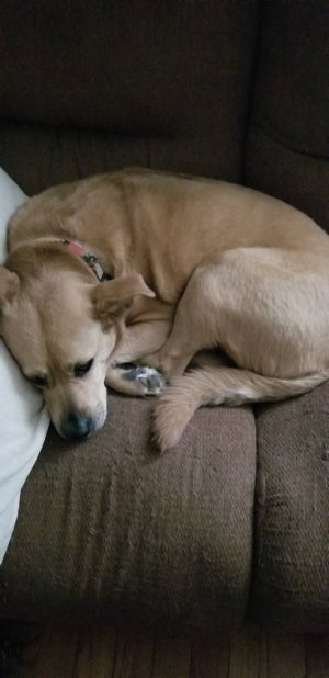 20180810_102358.jpg