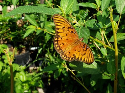 20180907_093939.jpg