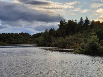 20180910_191948.jpg