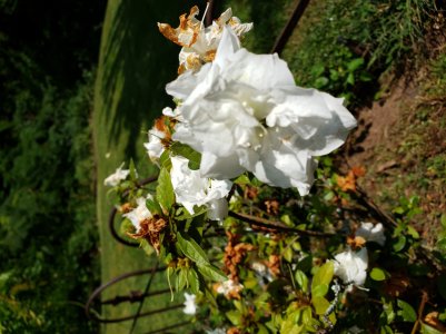 20180823_130618.jpg