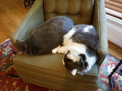 20180727_172540.jpg