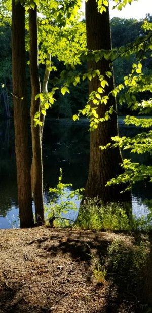 20180616_184540.jpg