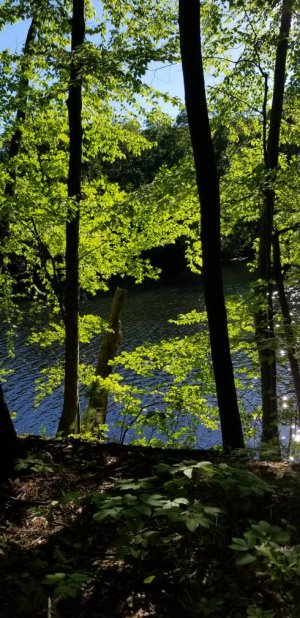 20180619_174735.jpg