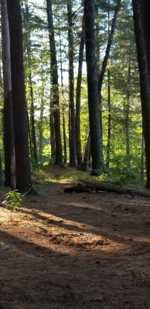 20180619_190030.jpg