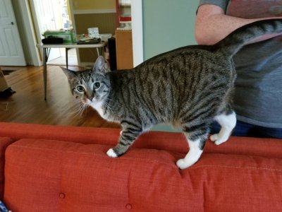 20180729_131207.jpg